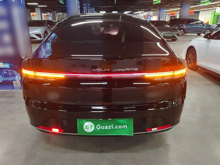 Фото 6 - BYD Destroyer 05