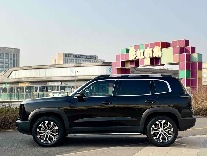 Фото 3 - Haval Dargo