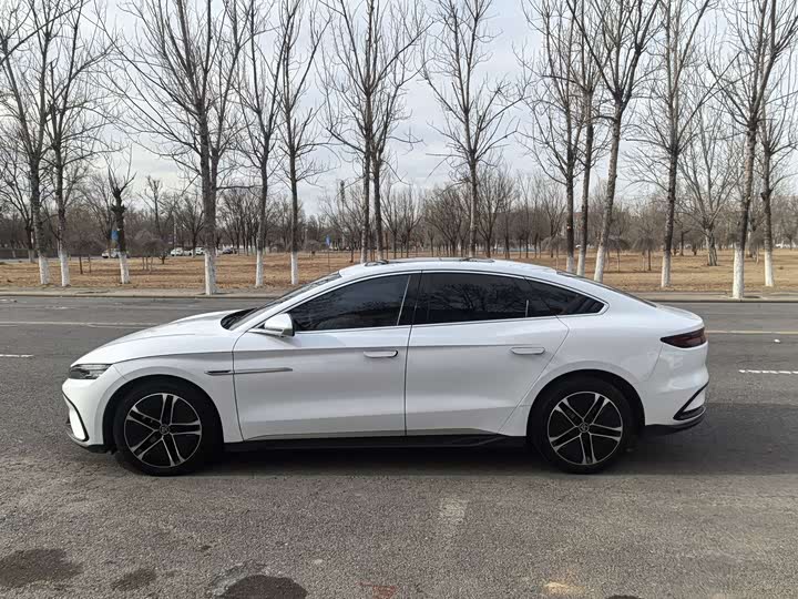 Фото 5 - BYD Han