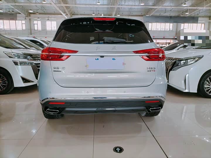 Фото 8 - Hongqi HS5