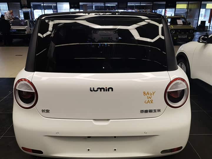 Фото 6 - Changan Qiyuan (Nevo) Lumin