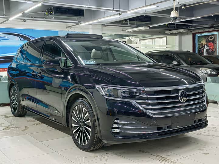 Фото 3 - Volkswagen Viloran