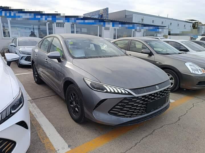 Фото 4 - BYD Qin Plus