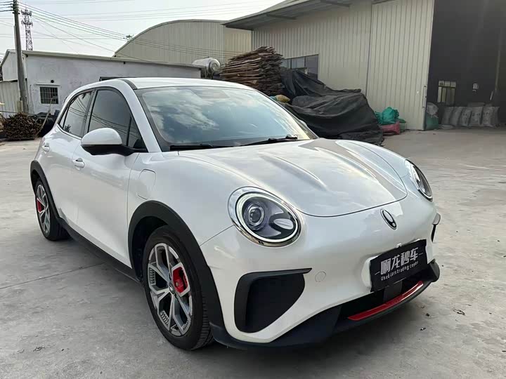 Фото 3 - Ora Good Cat GT (03 GT)