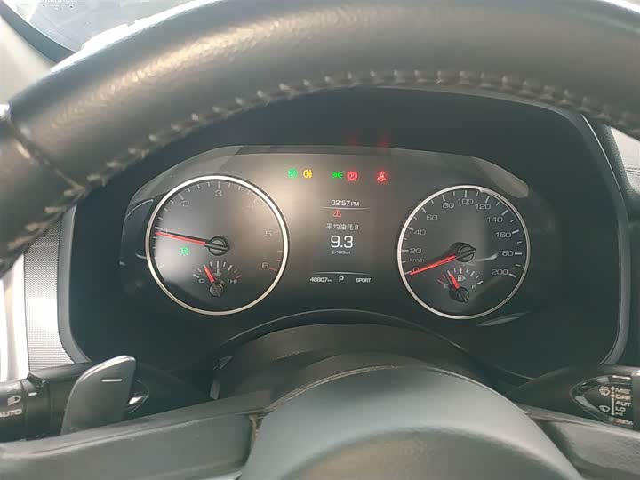 Фото 4 - Great Wall Pao