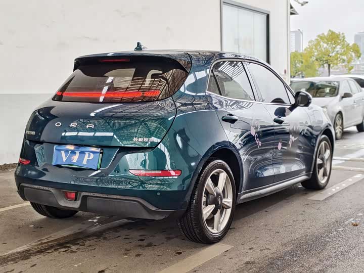 Фото 8 - Ora Good Cat (03)