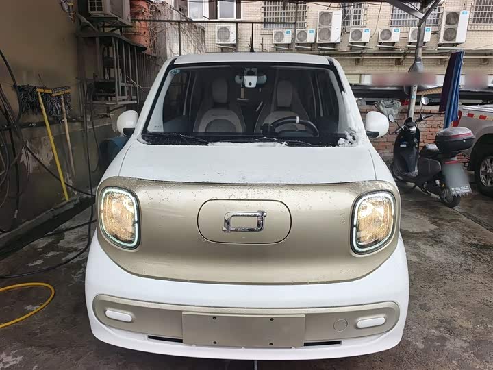 Фото 3 - Bestune Pony