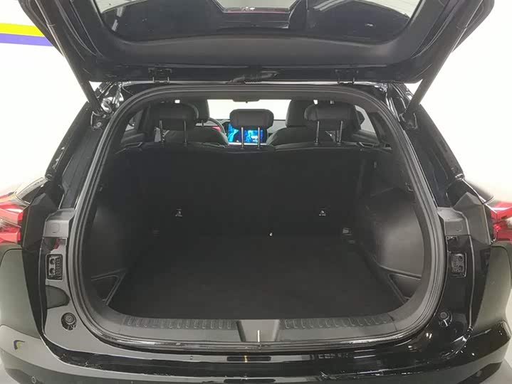 Фото 4 - Haval F7 (Monster)