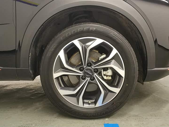 Фото 6 - Haval F7 (Monster)