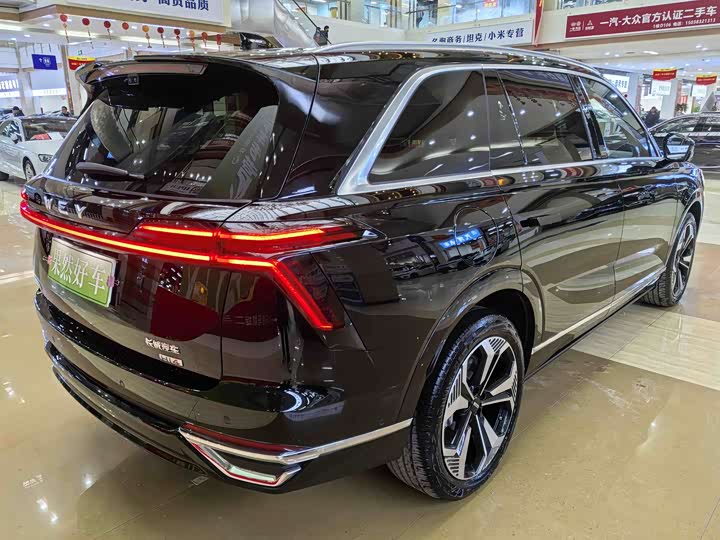 Фото 3 - Wey Lanshan