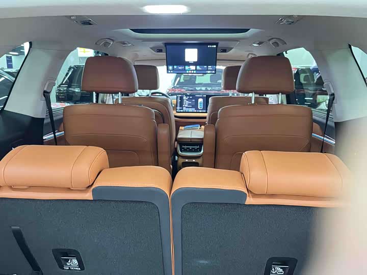 Фото 4 - Wey Lanshan