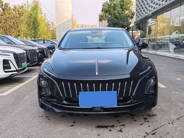 Фото 2 - Hongqi E-QM5