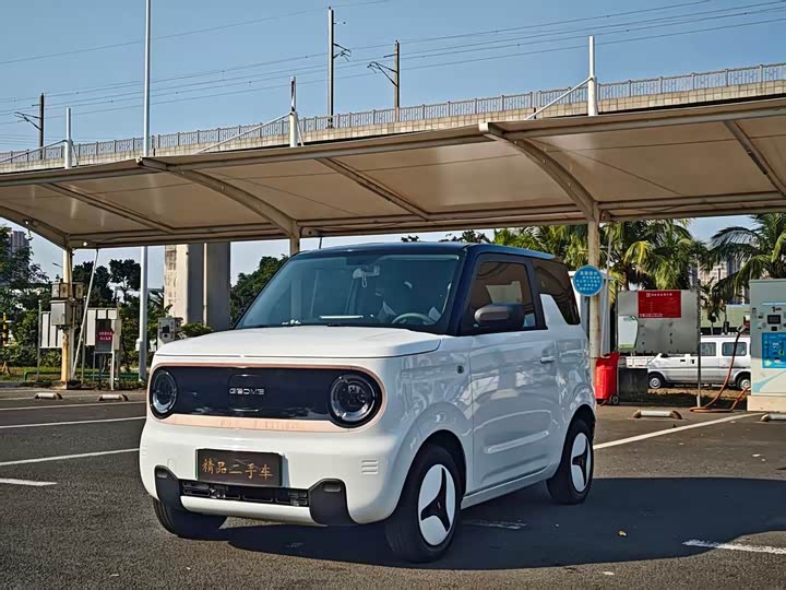 Фото 1 - Geely Galaxy Panda Mini