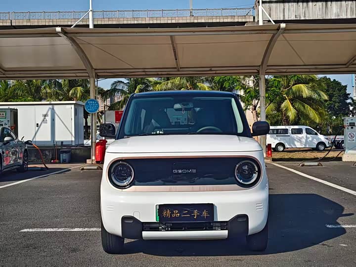 Фото 2 - Geely Galaxy Panda Mini