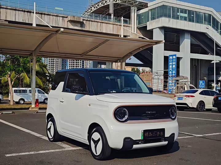 Фото 3 - Geely Galaxy Panda Mini