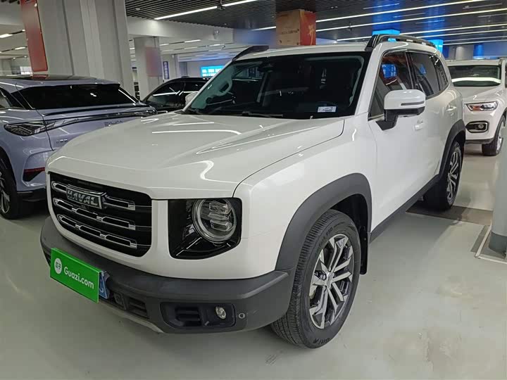 Фото 2 - Haval Dargo