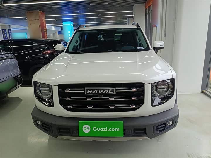 Фото 3 - Haval Dargo