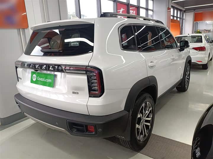 Фото 7 - Haval Dargo