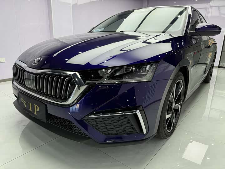 Фото 1 - Skoda Octavia Pro