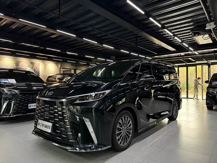 Фото 1 - Lexus LM