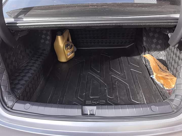 Фото 4 - BYD Qin Plus