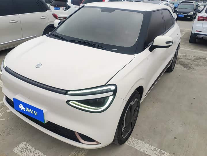 Фото 1 - Dongfeng Nammi 01