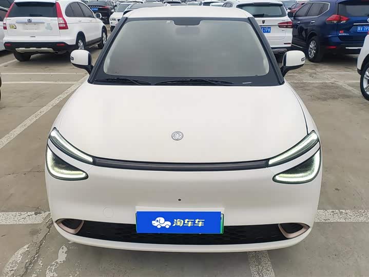 Фото 2 - Dongfeng Nammi 01