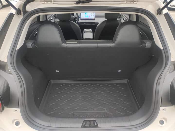 Фото 4 - Dongfeng Nammi 01