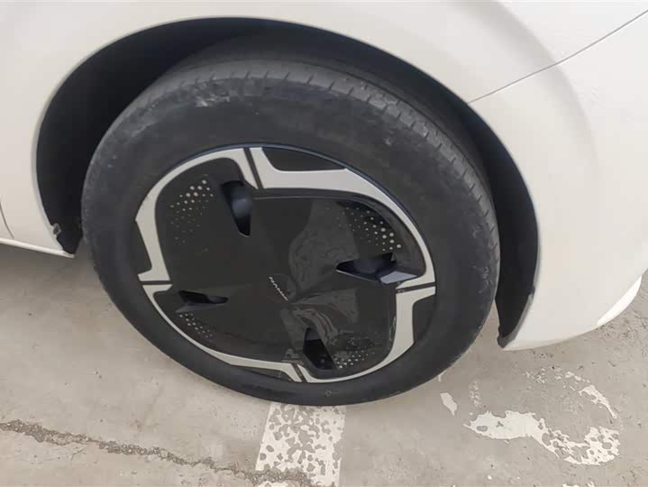 Фото 6 - Dongfeng Nammi 01