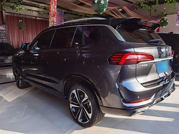 Фото 7 - Roewe RX5 Max