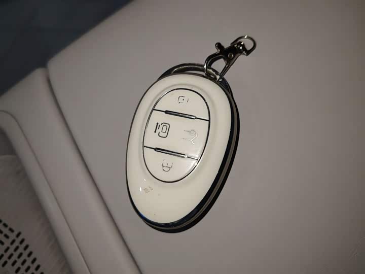 Фото 9 - BAIC Arcfox Kaola