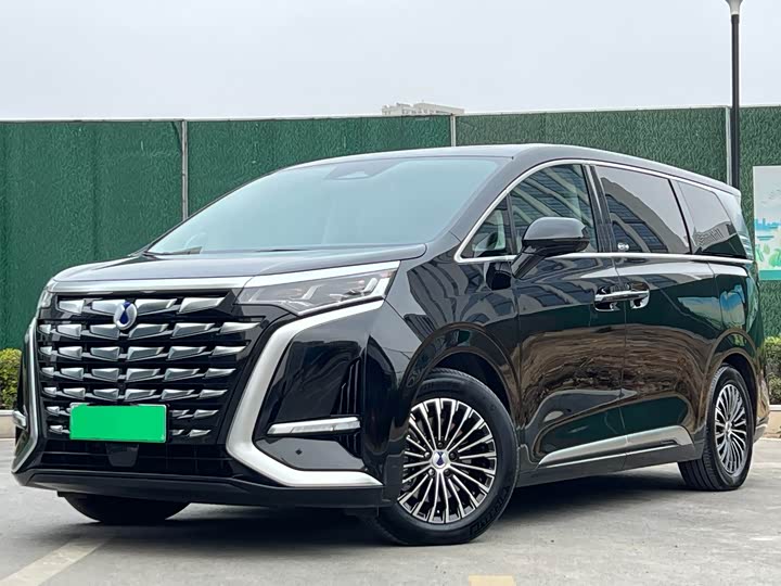 Фото 1 - Denza D9