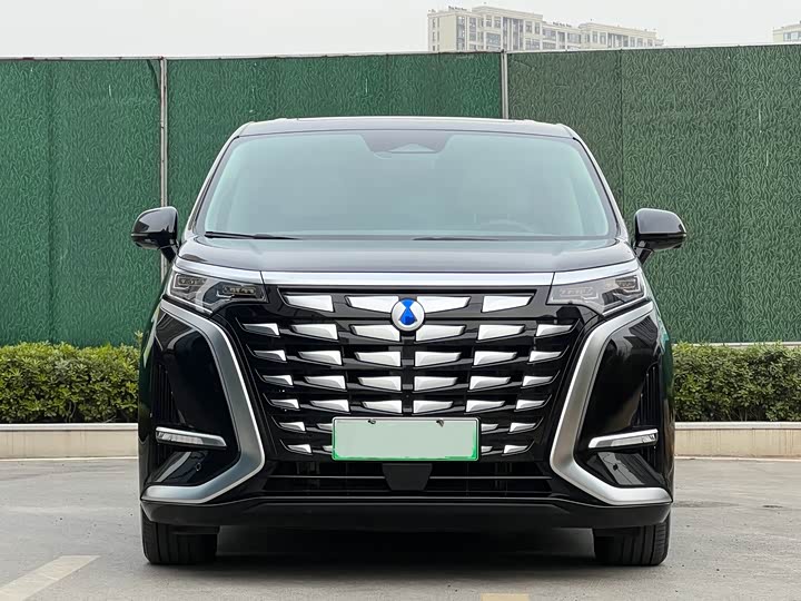 Фото 2 - Denza D9