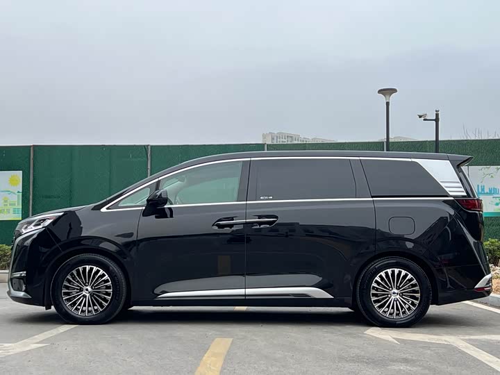 Фото 3 - Denza D9