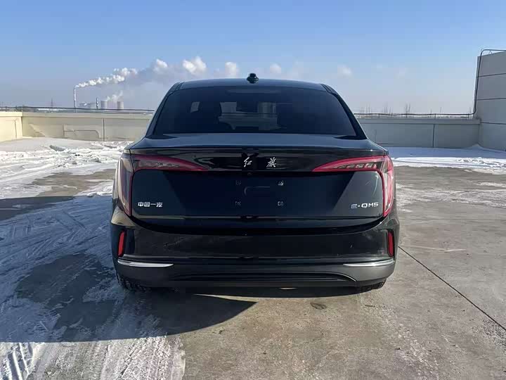 Фото 8 - Hongqi E-QM5