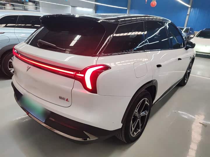 Фото 7 - Hozon L