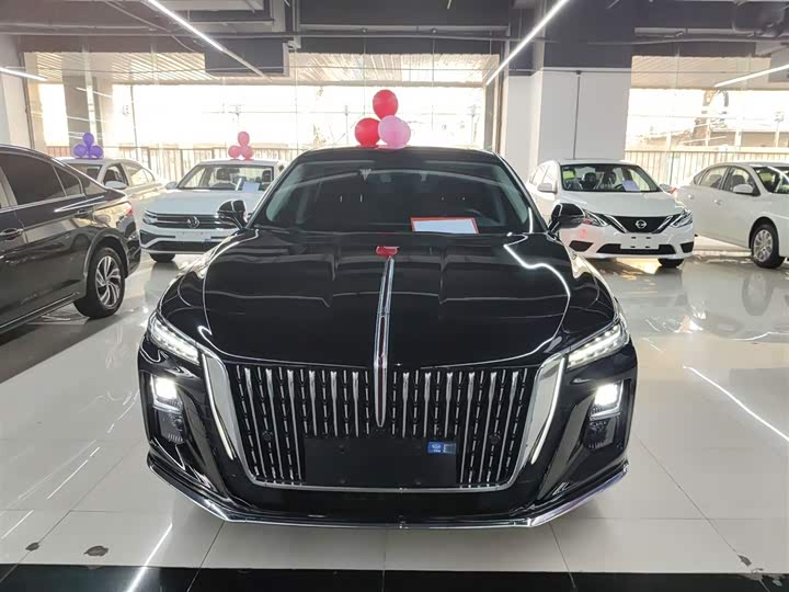 Фото 3 - Hongqi H5