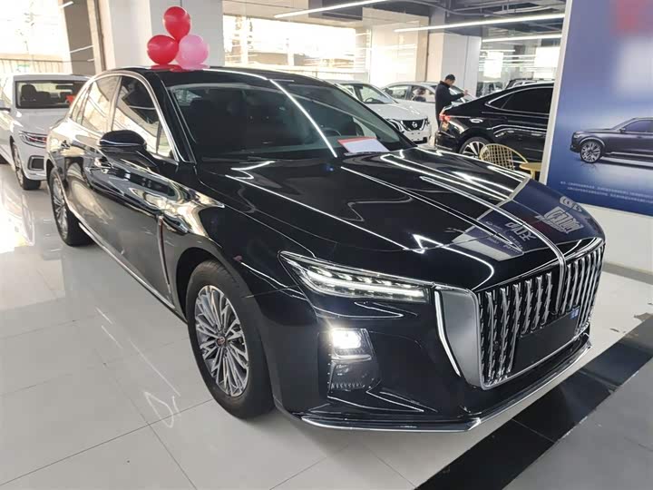 Фото 4 - Hongqi H5