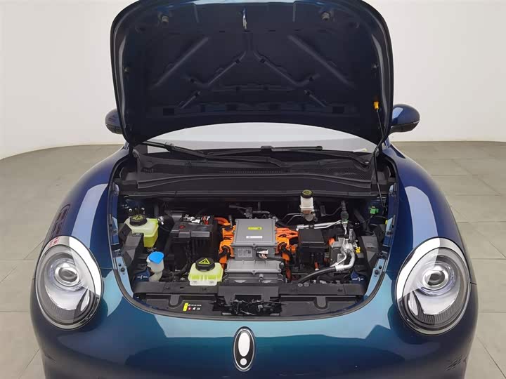 Фото 6 - Ora Good Cat (03)