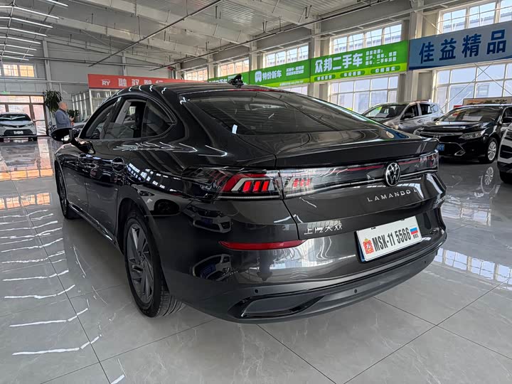 Фото 6 - Volkswagen Lamando L