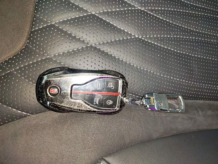 Фото 9 - Hongqi HS5