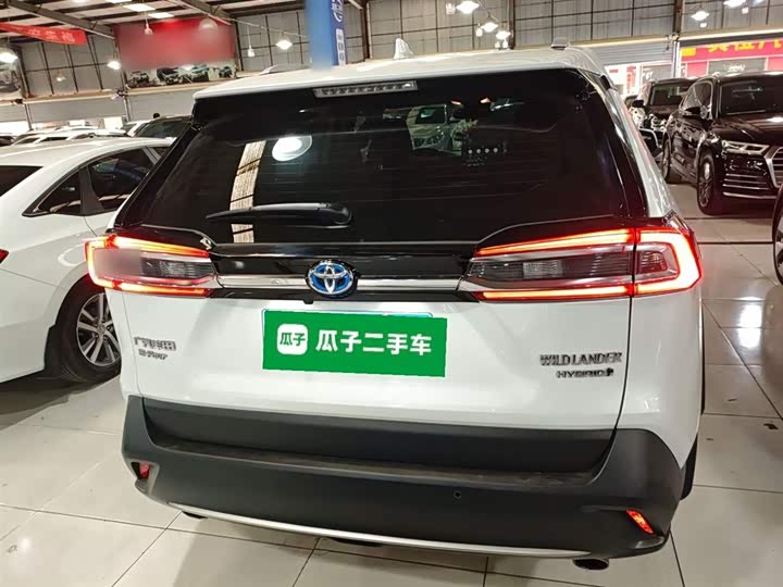 Фото 6 - Toyota Wildlander