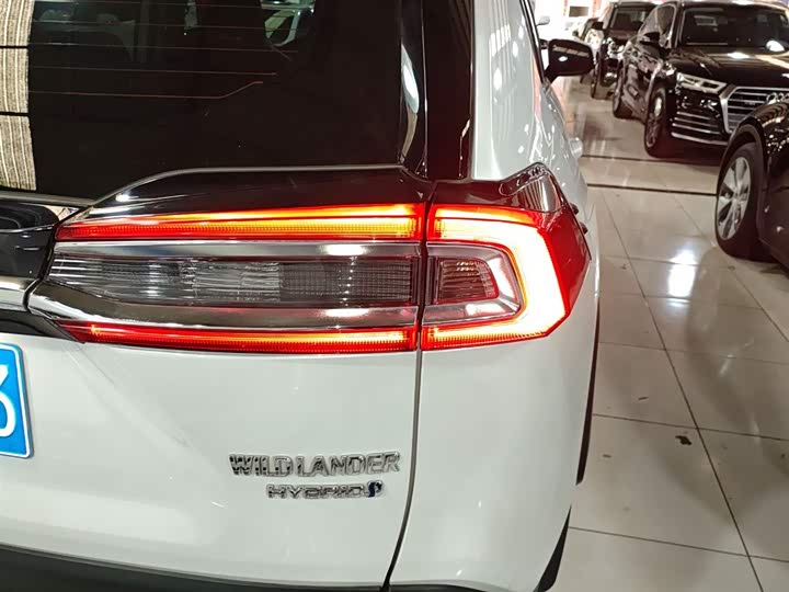 Фото 8 - Toyota Wildlander