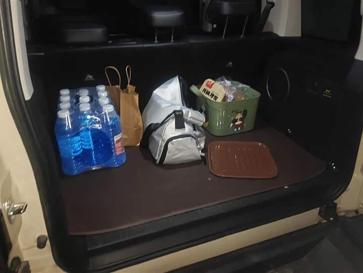 Фото 4 - Tank 300 Hybrid