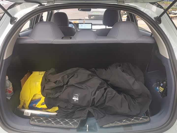 Фото 4 - Geely Geometry E Firefly