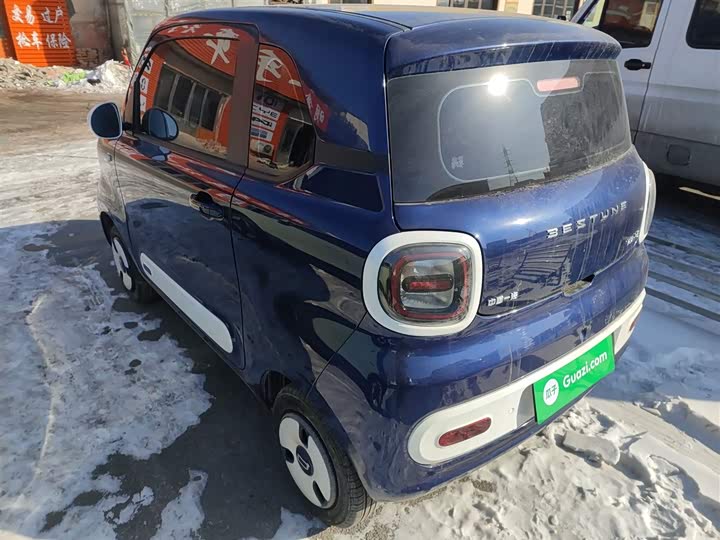 Фото 5 - Bestune Pony