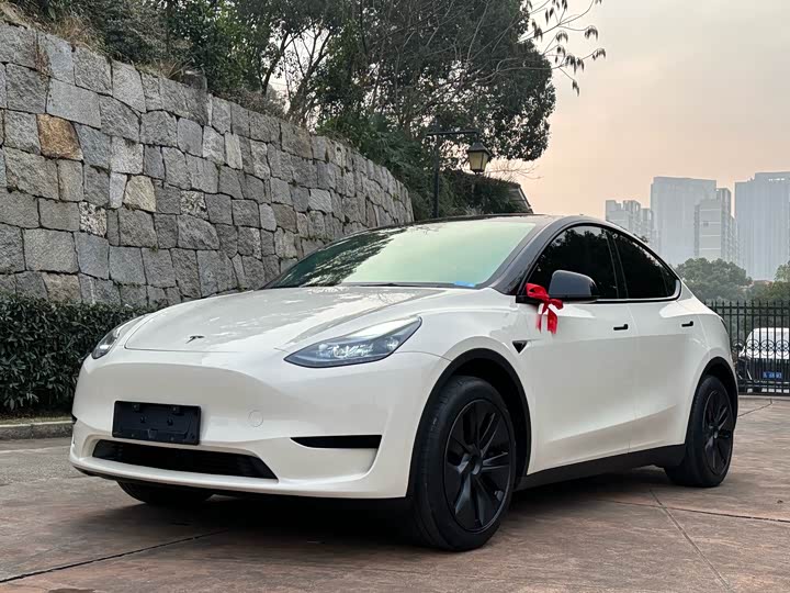 Фото 1 - Tesla Model Y