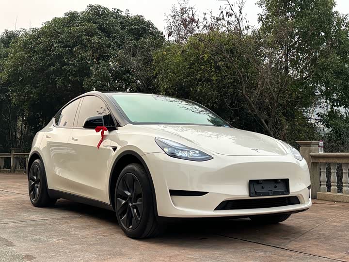 Фото 3 - Tesla Model Y