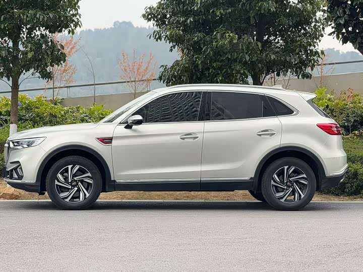 Фото 3 - Hongqi HS5