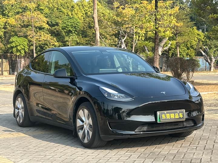 Фото 1 - Tesla Model Y